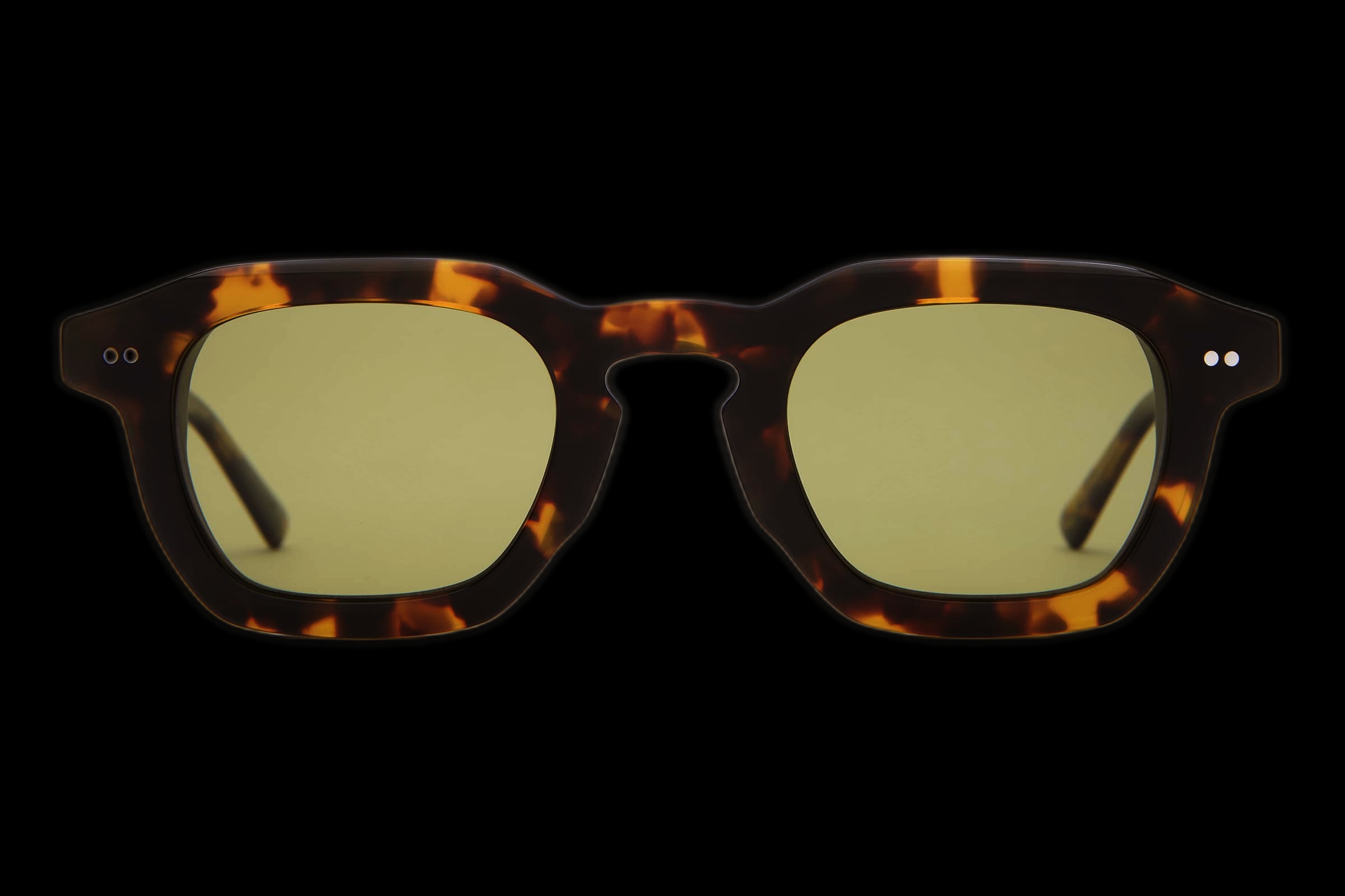 Lunar Tortoise Bio / Polarized Olive