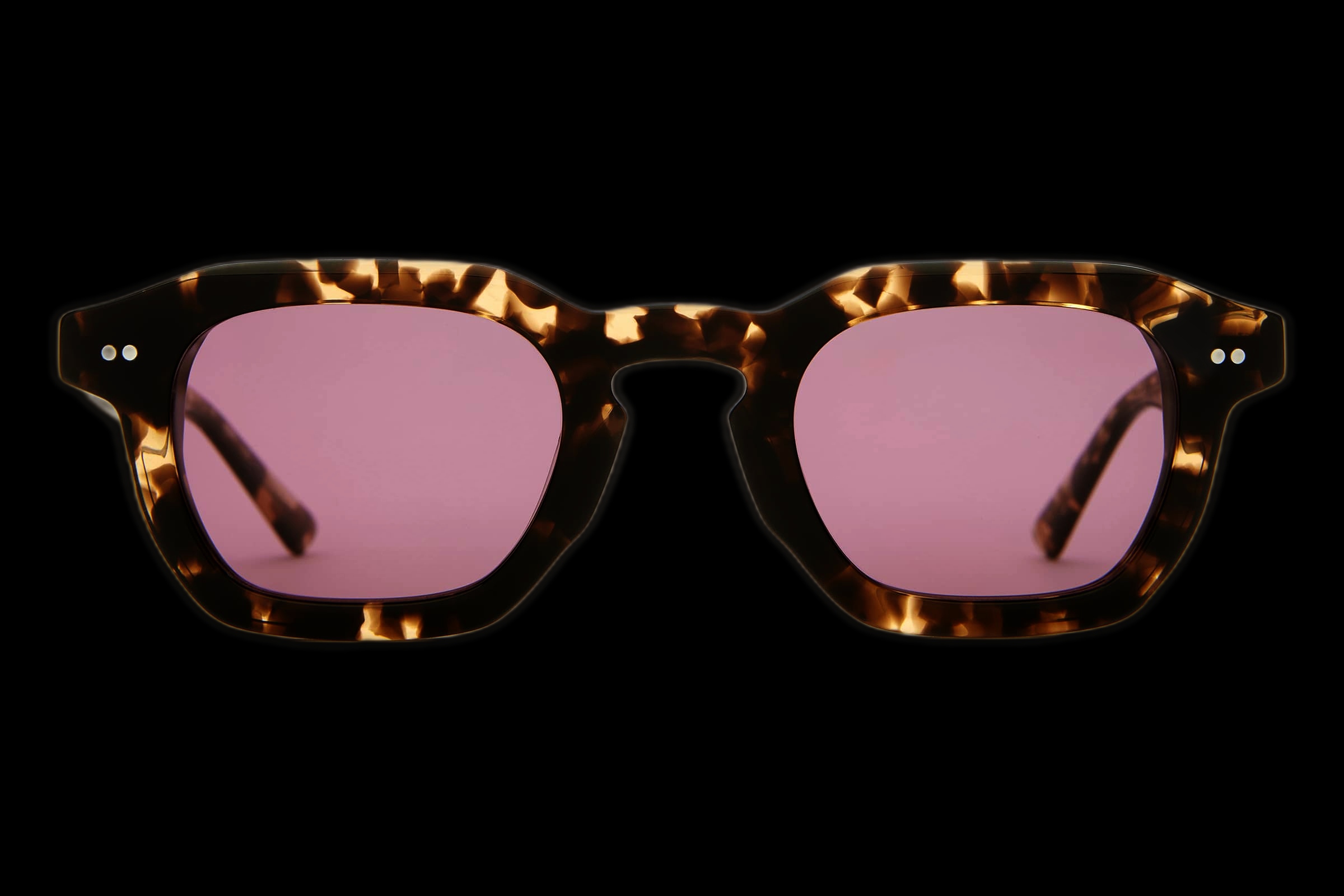 Desert Tortoise Bio / Polarized Plum